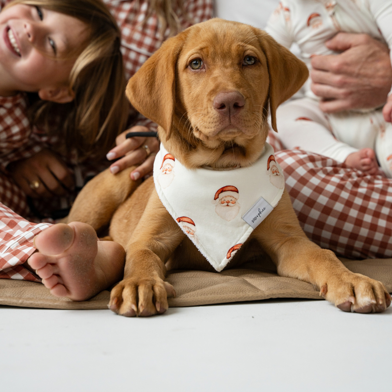 Bamboo Bandana Bibs