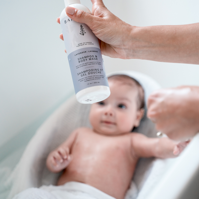 Shampoo & Body Wash | Lavender