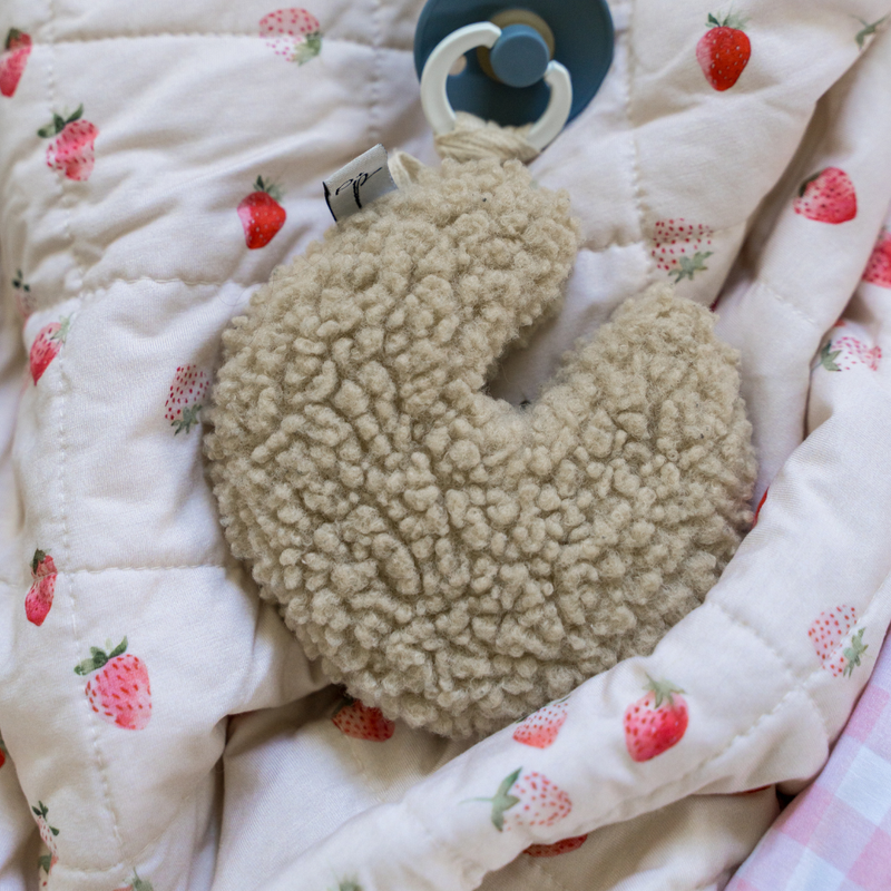 Teddy Moon Pacifier Holders
