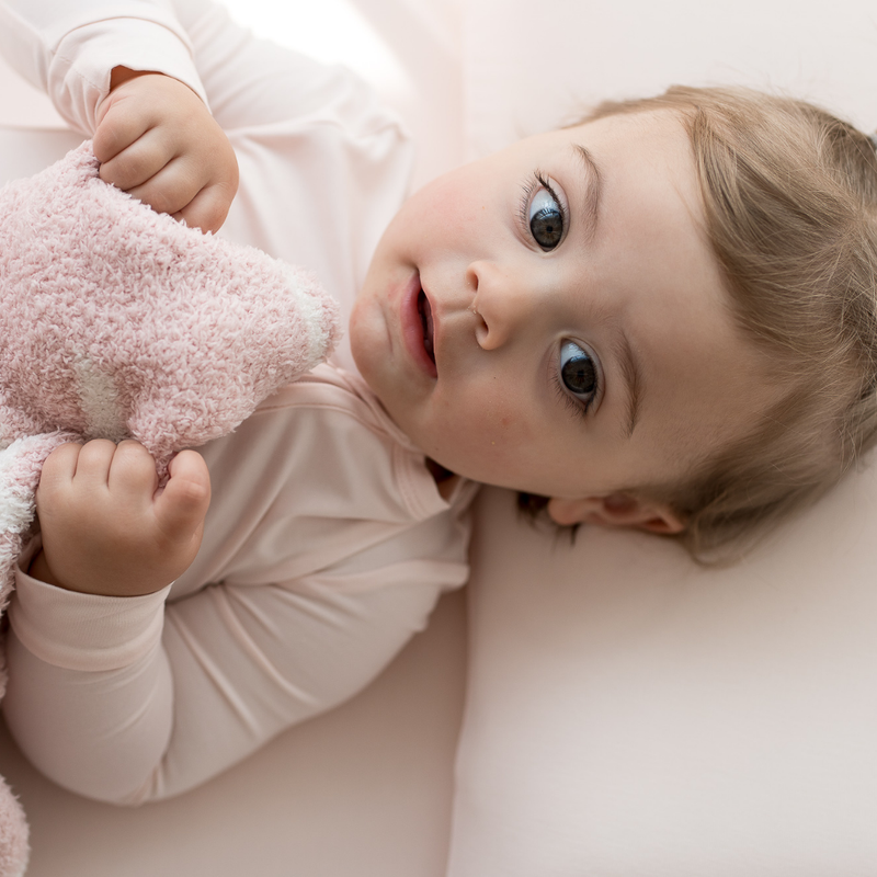 Bamboo Toddler Pillowcase