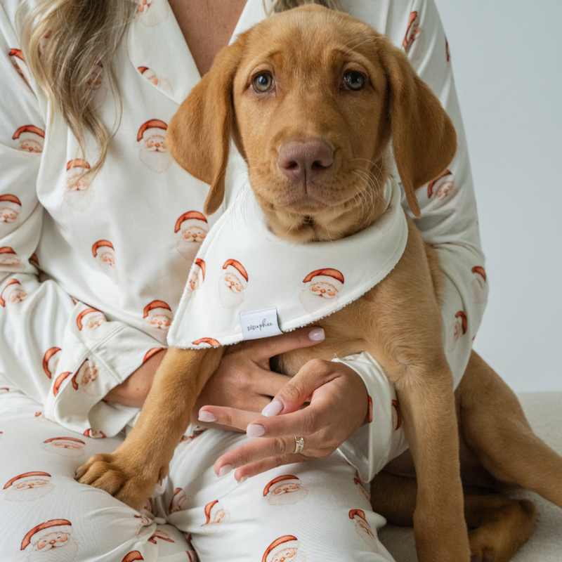 Bamboo Bandana Bibs