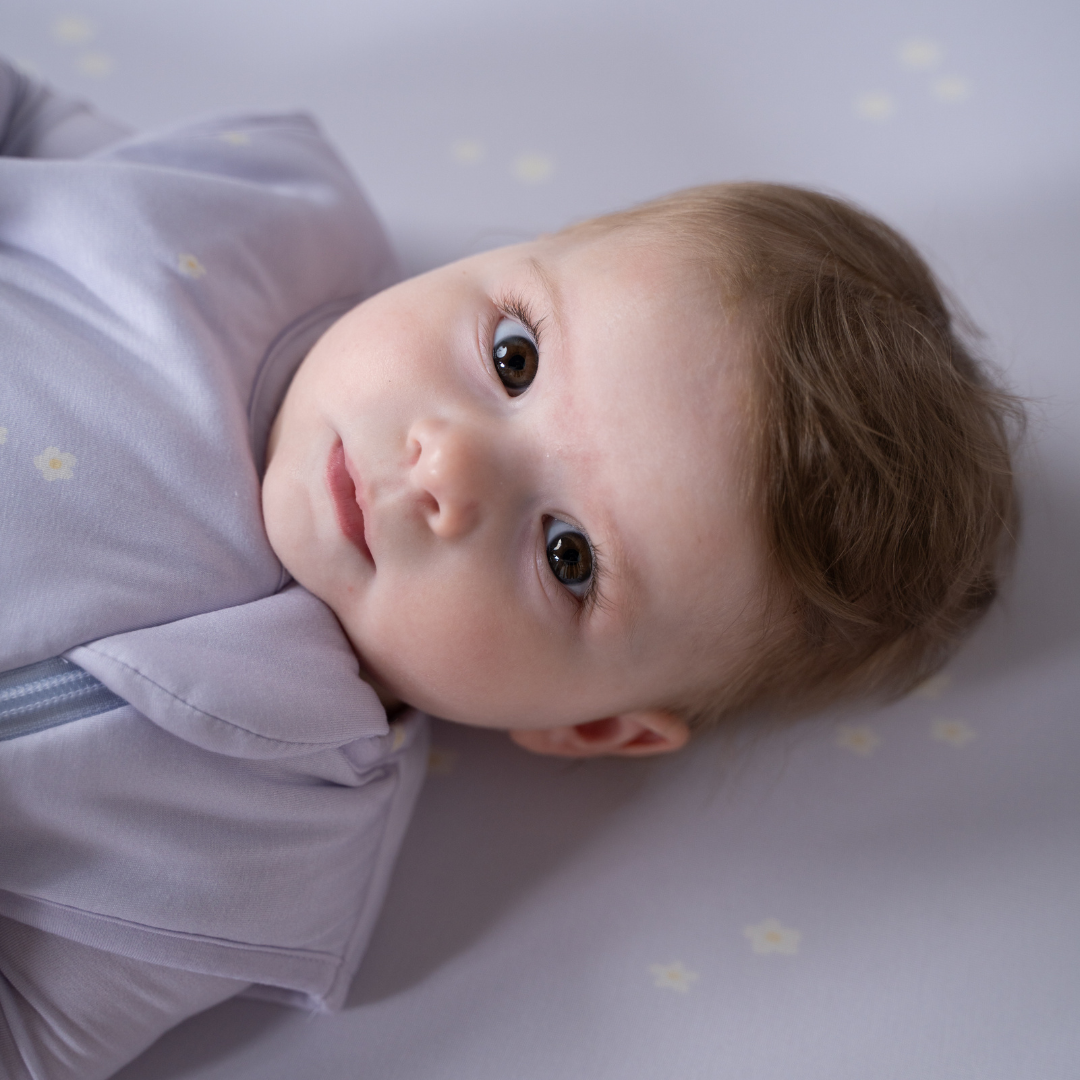 Sleep Bag | 1.0 TOG