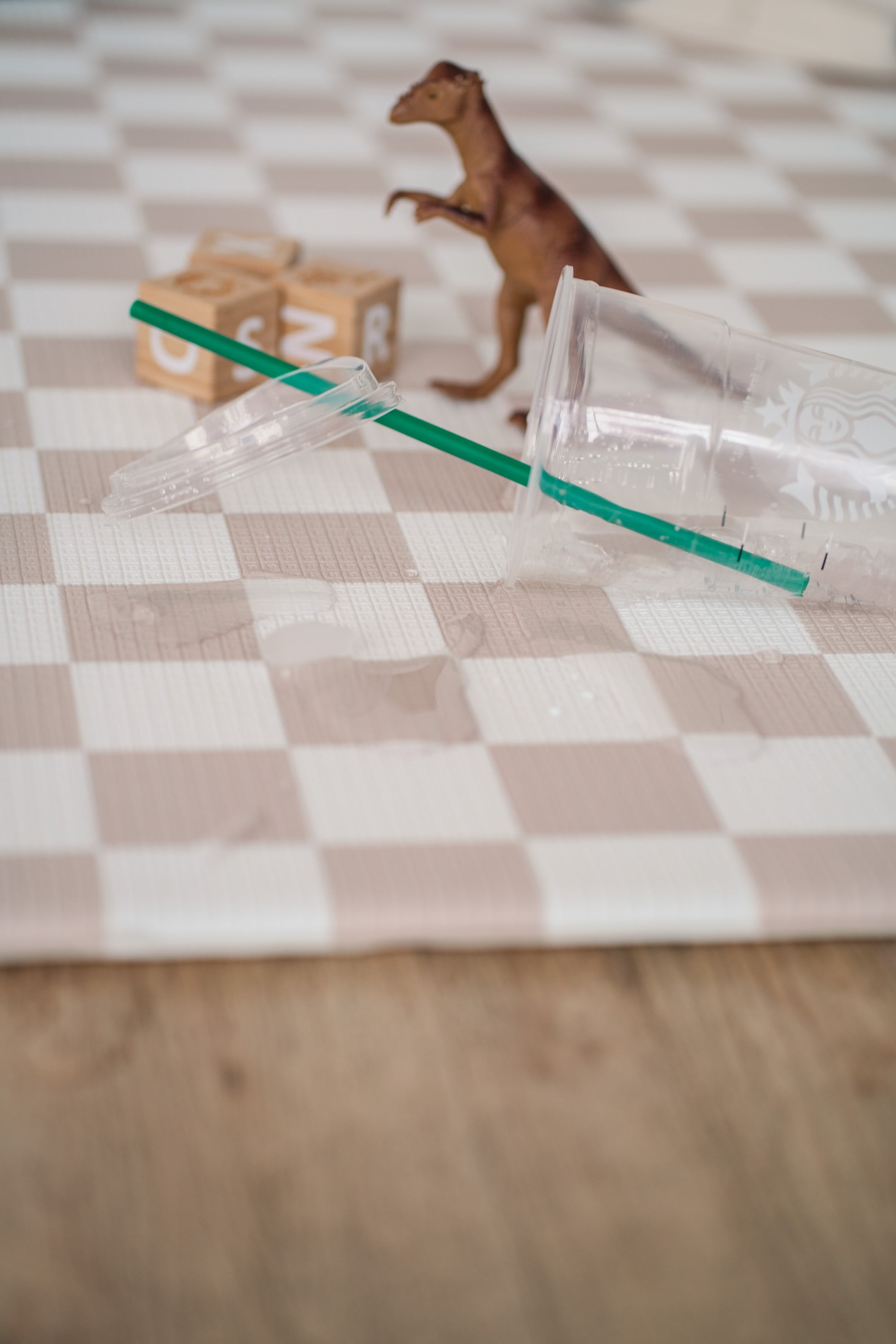 Reversible Foam Play Mat
