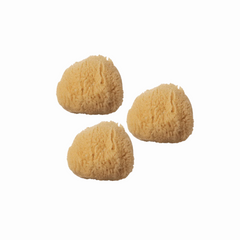 Mini - 1.75"-2.25" - 3 Pack